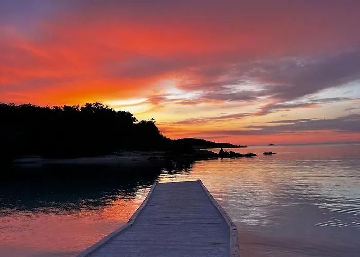 Cozy Downtown 公寓 *